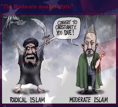 http://alisina.org/wp-content/uploads/2012/01/mythical-moderate-muslim.jpg